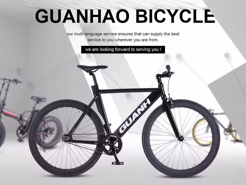 Biciclette elettriche