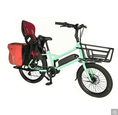 20&quot; Cornice in lega di magnesio Ananda Bafang MID Drive Bicicleta elettrica per la famiglia o la consegna di merci