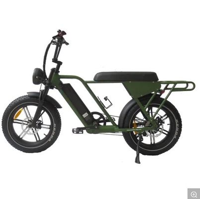 48V250W-500W-750W-1000W Motore Step-Through Bici elettriche con telaio in lega di alluminio