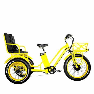 24&quot; triciclo elettrico Etrike con motore da 750W e batteria al litio da 21AH 40KM/h Max velocità
