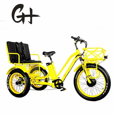 24&quot; triciclo elettrico Etrike con motore da 750W e batteria al litio da 21AH 40KM/h Max velocità