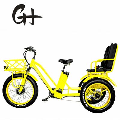 24&quot; triciclo elettrico Etrike con motore da 750W e batteria al litio da 21AH 40KM/h Max velocità