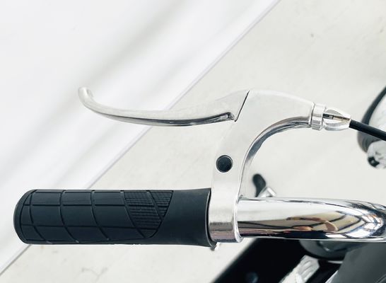 Peso lordo 25.0 KG 24-20 &quot;Single Speed Adult Chopper Bike con forchetta in acciaio da OEM