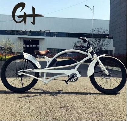 Pneumatico da 3,0 pollici da 24 pollici per uomo 48V 17AH OEM/ODM 750W 28MPH Single Speed Bafang Motor Display Chopper Bicicletta elettrica
