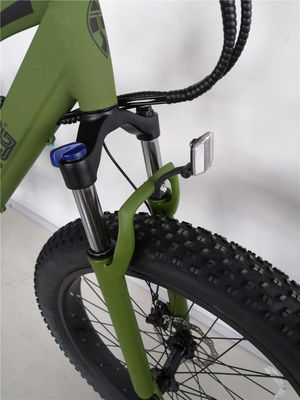16.7 Ah Capacità della batteria Bicicletta elettrica da montagna per adulti 26 pollici di gomma grassa Ebike
