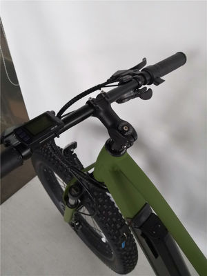 16.7 Ah Capacità della batteria Bicicletta elettrica da montagna per adulti 26 pollici di gomma grassa Ebike
