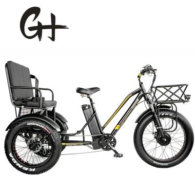 24&quot; 48V Ruota anteriore 750W 45KM/H Max Loading 300KG 21AH Batteria al litio Triciclo elettrico
