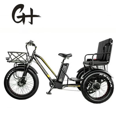24&quot; 48V Ruota anteriore 750W 45KM/H Max Loading 300KG 21AH Batteria al litio Triciclo elettrico