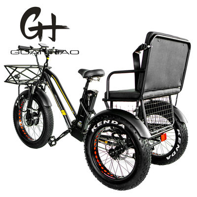 24&quot; 48V Ruota anteriore 750W 45KM/H Max Loading 300KG 21AH Batteria al litio Triciclo elettrico