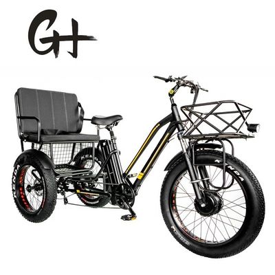 24&quot; 48V Ruota anteriore 750W 45KM/H Max Loading 300KG 21AH Batteria al litio Triciclo elettrico