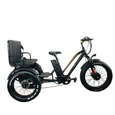 24&quot; 48V Ruota anteriore 750W 45KM/H Max Loading 300KG 21AH Batteria al litio Triciclo elettrico