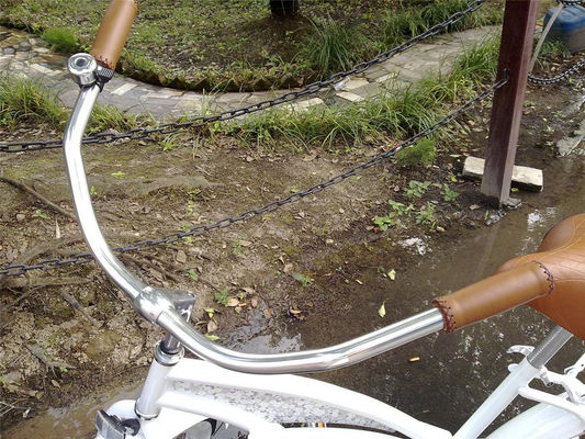 Logo personalizzato Adulti Bici ibridi a velocità singola da 26 pollici per donne Bici Beach Cruiser
