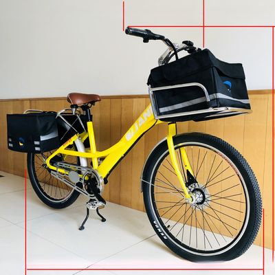 36V 9Ah 250W Torque 80-90 Nm 25KM/H Hi-Ten Steel Electric Cargo Bike per la consegna di cibo