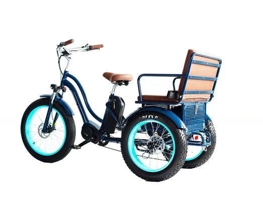 Riccio elettrico a motore a mozzo anteriore con batteria al litio da 17AH da 48V 750W e pneumatici Big Fat