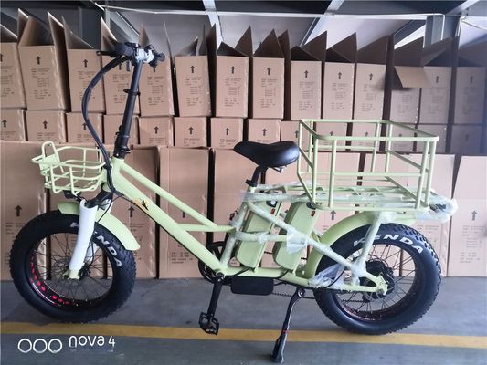 Distanza lunga consegna bici elettrica di carico con doppia batteria al litio e freno a disco