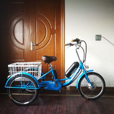 Mercato 2020 750W 20 &quot;Aluminio Legatura Rim triciclo elettrico per il trasporto di merci