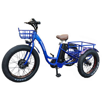 Mercato 2020 750W 20 &quot;Aluminio Legatura Rim triciclo elettrico per il trasporto di merci