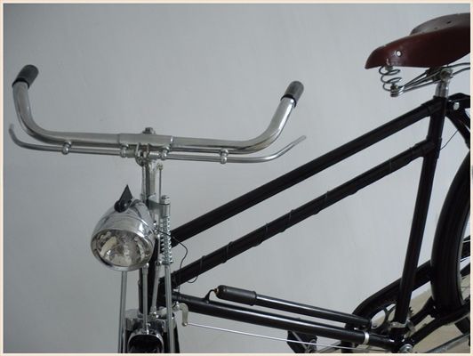 Bicicletta olandese per uomini in stile classico con freno di montagna e tipo di pedale ordinario