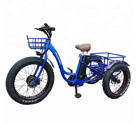 Triciclo elettrico da 750W con batteria al litio e autonomia da 31 a 60 km
