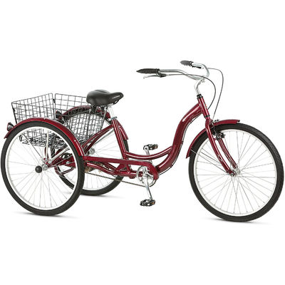 Triciclo elettrico da 750W con batteria al litio e autonomia da 31 a 60 km