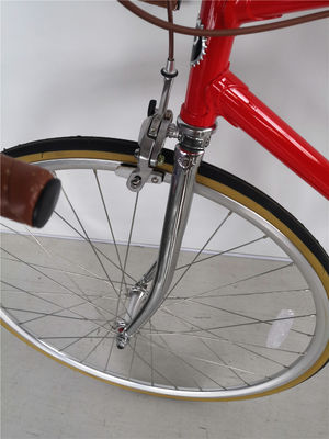 11kg 4130 Chromoly Lugged Frame Vintage Classic Track Bike Fixie Fixed Gear Bike