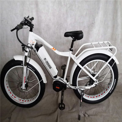 1000W Bafang Mid Drive Motor Alloy Rear Carrier Central Electric Bike con standard