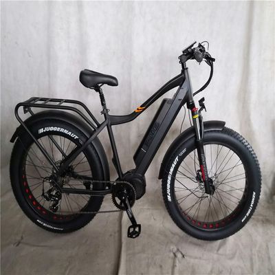 1000W Bafang Mid Drive Motor Alloy Rear Carrier Central Electric Bike con standard