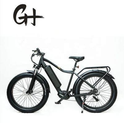 1000W Bafang Mid Drive Motor Alloy Rear Carrier Central Electric Bike con standard