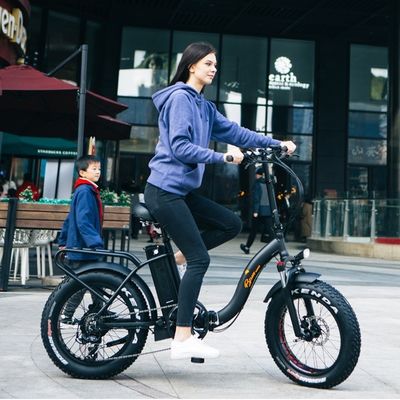 Motore da 1000W 48V 14AH Step Through elettrico donna donna pieghevole gomma da neve grassa bici 20 pollici