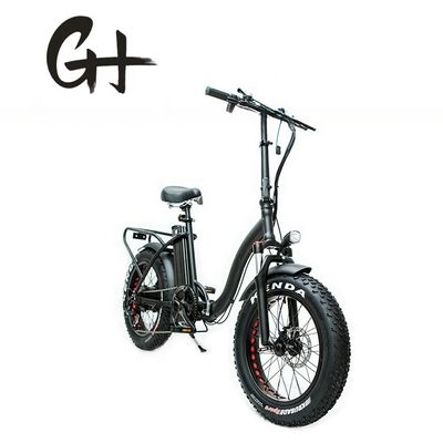 Motore da 1000W 48V 14AH Step Through elettrico donna donna pieghevole gomma da neve grassa bici 20 pollici