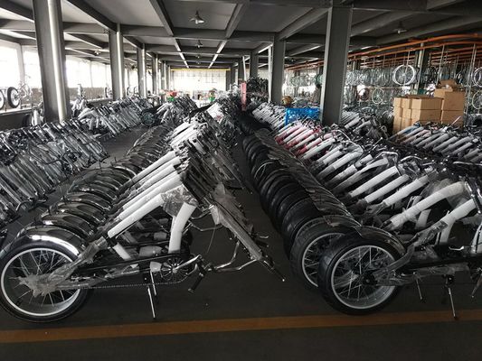 Motocicletta per uomini da 20-24 pollici con sospensione a forcella e opzioni personalizzabili