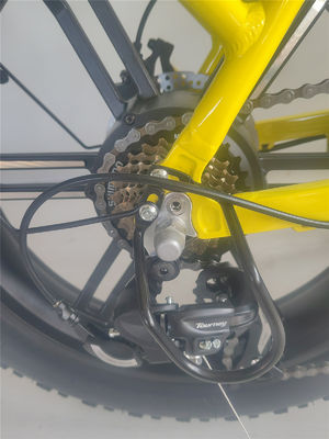 750W 48V E Bicicletta 20 pollici gomma gialla grassa Bicicletta elettrica per 31-60 km di autonomia per potenza