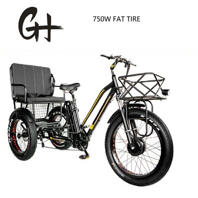 Bafang 750W triciclo elettrico a motore con gomma di grasso E tre ruote e sedile passeggeri