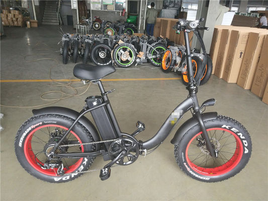 Bicicletta elettrica pieghevole da 20 pollici con motori da 48V 500W 750W 1000W e progettazione step-through