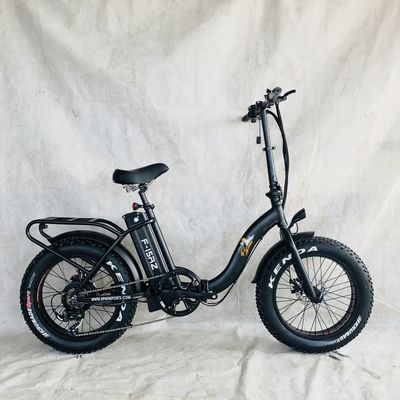 Bicicletta elettrica pieghevole da 20 pollici con motori da 48V 500W 750W 1000W e progettazione step-through