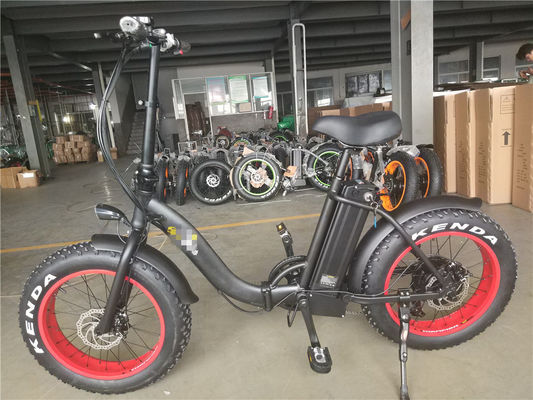 Bicicletta elettrica pieghevole da 20 pollici con motori da 48V 500W 750W 1000W e progettazione step-through