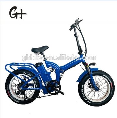 Bicicletta elettrica pieghevole da 20 pollici con motori da 48V 500W 750W 1000W e progettazione step-through