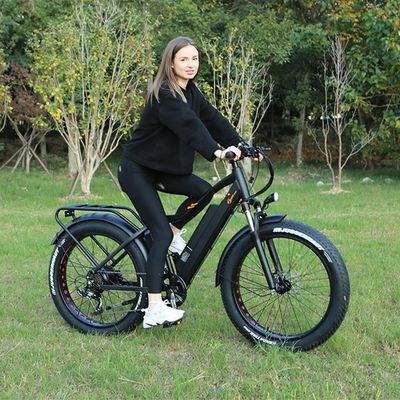 48V 1000W 17AH batteria al litio OEM EN15194 CE Customized Electric MTB Mountain Fat Tire Bike