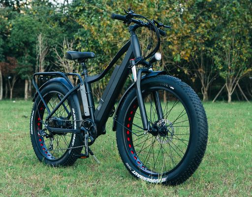 48V 1000W 17AH batteria al litio OEM EN15194 CE Customized Electric MTB Mountain Fat Tire Bike