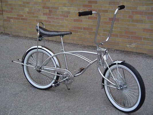 Bicicletta da corsa bassa 20 pollici con sedile di banana e 13 kg di peso lordo