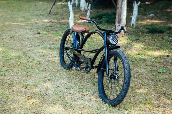 Forchetta in alluminio da 24&quot; 3,0 pneumatici CE OEM single speed Chopper Cruiser Bicicletta con freno a disco