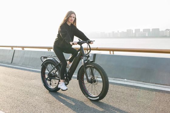 Freno a disco 750W 48V Batteria al litio Adult E Bike Fat Tire Electric Bike 26 pollici con velocità massima di 30-50Km/h