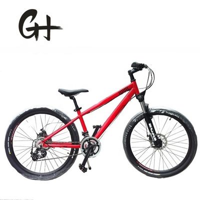 26x2.15 pneumatici CE EN CPSC OEM/ODM Adulto Shimano 21 velocità freno a disco MTB mountain bike