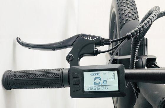 26 pollici PAS 750W 1000W 48V Batteria al litio Fat Tire Mountain Electric Bike per uomini adulti