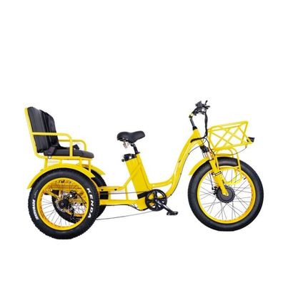 Taxi rickshaw elettrico con motore da 48V 1000W Bafang Crank e gomma Kenda 24*4.0