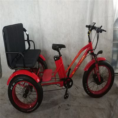 Taxi rickshaw elettrico con motore da 48V 1000W Bafang Crank e gomma Kenda 24*4.0