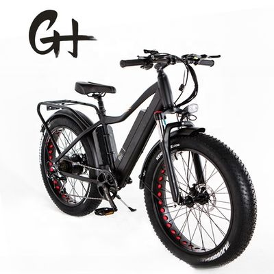 52V 17AH batteria al litio 1000W BaFang Fat pneumatici da neve mountain EMTB bici elettrica 55KM/h
