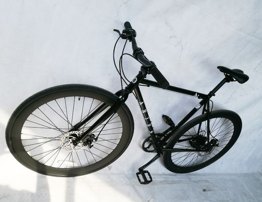 700C disc brake American Racing Bike con CR-MO Steel e Shimano 7S OEM/ODM CPSC