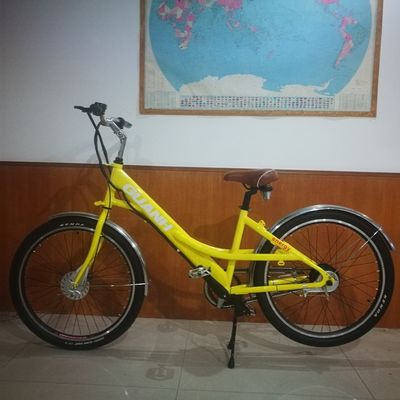 35V 350W 8.8AH batteria al litio 26&quot; Fast Food Cargo Delivery Bici elettrica per donne adulte 25KM/H CE mercato europeo