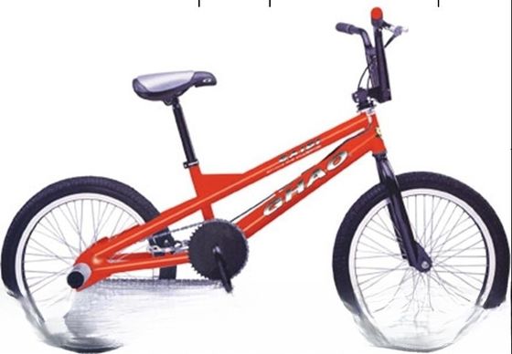 BMX a telaio in acciaio La perfetta combinazione di stile e funzione